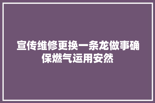 宣传维修更换一条龙做事确保燃气运用安然