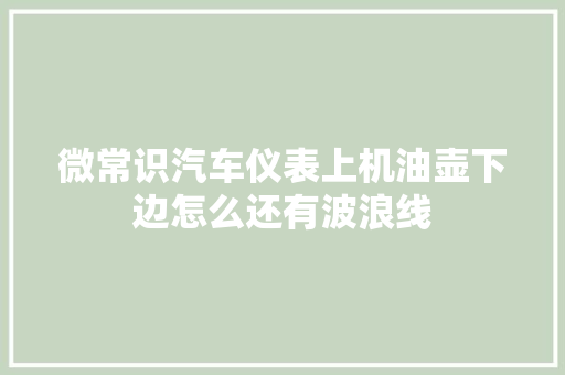 微常识汽车仪表上机油壶下边怎么还有波浪线