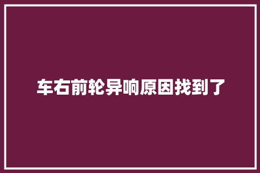 车右前轮异响原因找到了