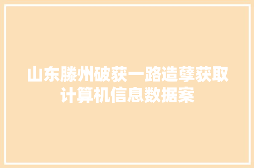 山东滕州破获一路造孽获取计算机信息数据案