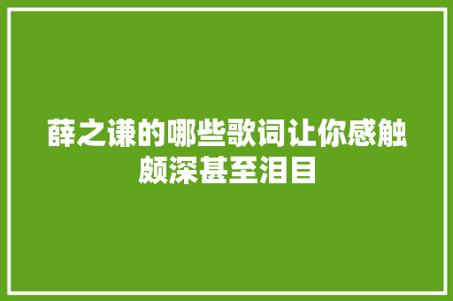 薛之谦的哪些歌词让你感触颇深甚至泪目