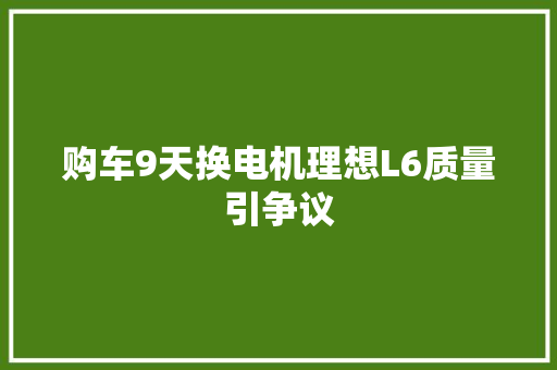 购车9天换电机理想L6质量引争议