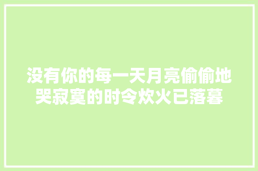 没有你的每一天月亮偷偷地哭寂寞的时令炊火已落暮