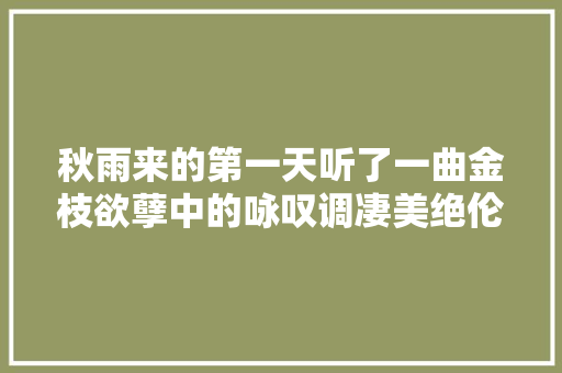 秋雨来的第一天听了一曲金枝欲孽中的咏叹调凄美绝伦