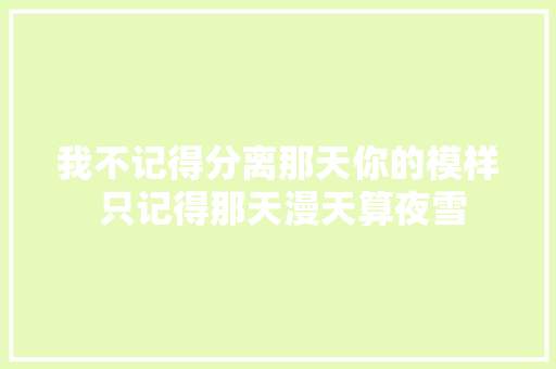 我不记得分离那天你的模样 只记得那天漫天算夜雪