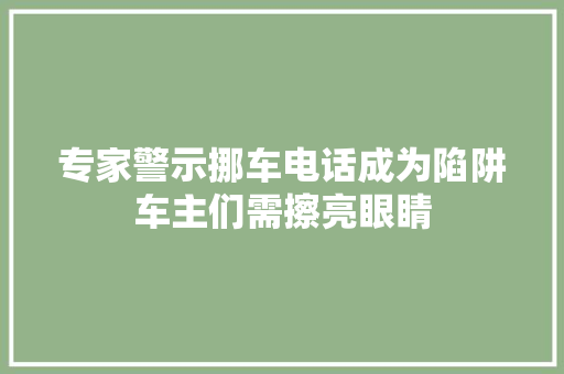 专家警示挪车电话成为陷阱车主们需擦亮眼睛