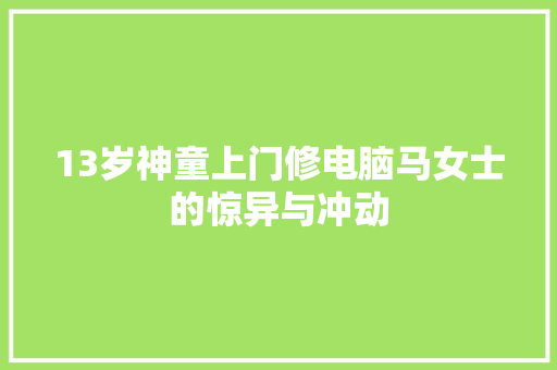 13岁神童上门修电脑马女士的惊异与冲动