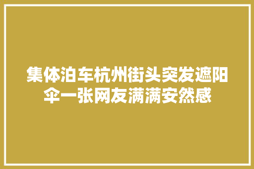 集体泊车杭州街头突发遮阳伞一张网友满满安然感