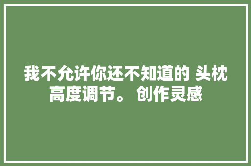 我不允许你还不知道的 头枕高度调节。 创作灵感