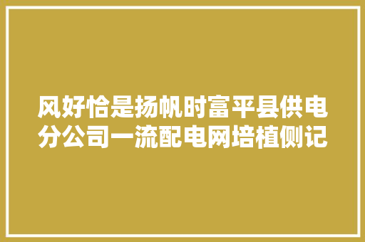 风好恰是扬帆时富平县供电分公司一流配电网培植侧记