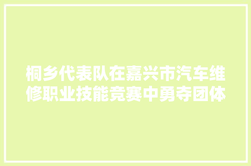 桐乡代表队在嘉兴市汽车维修职业技能竞赛中勇夺团体第一 汽车知识