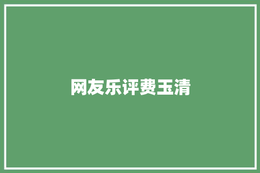 网友乐评费玉清