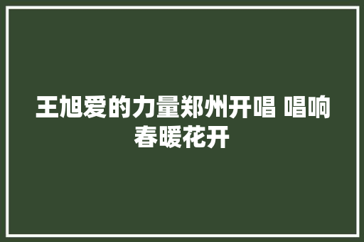 王旭爱的力量郑州开唱 唱响春暖花开