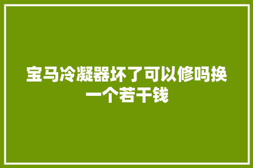 宝马冷凝器坏了可以修吗换一个若干钱 汽车知识