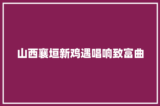 山西襄垣新鸡遇唱响致富曲