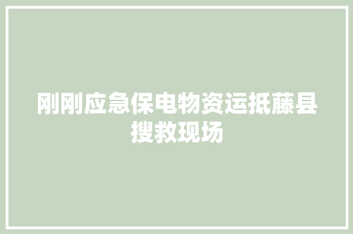 刚刚应急保电物资运抵藤县搜救现场