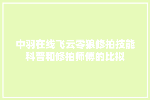 中羽在线飞云零狼修拍技能科普和修拍师傅的比拟  第1张