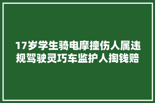 17岁学生骑电摩撞伤人属违规驾驶灵巧车监护人掏钱赔偿