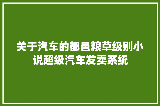 关于汽车的都邑粮草级别小说超级汽车发卖系统 汽车知识