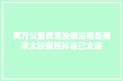 两万公里就清洗喷油嘴是商家太狡猾照样自己太傻