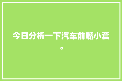 今日分析一下汽车前嘴小套。