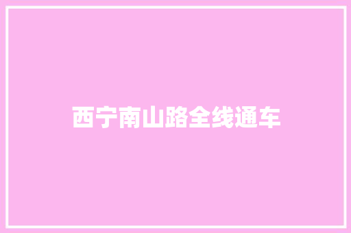 西宁南山路全线通车