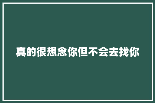 真的很想念你但不会去找你