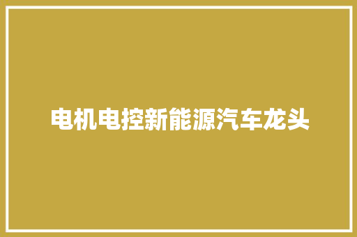 电机电控新能源汽车龙头