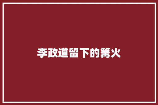 李政道留下的篝火
