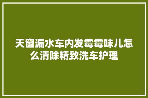 天窗漏水车内发霉霉味儿怎么清除精致洗车护理