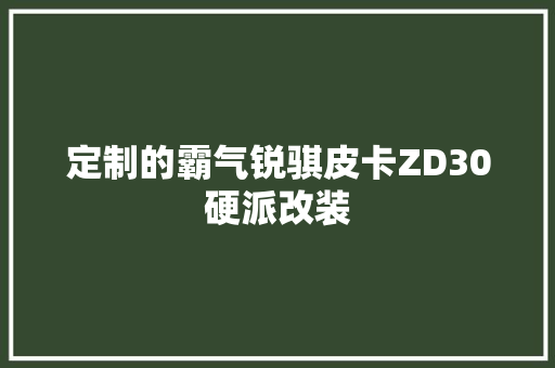 定制的霸气锐骐皮卡ZD30硬派改装