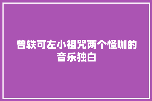 曾轶可左小祖咒两个怪咖的音乐独白