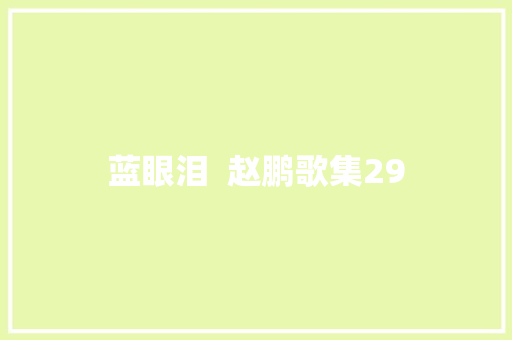蓝眼泪  赵鹏歌集29