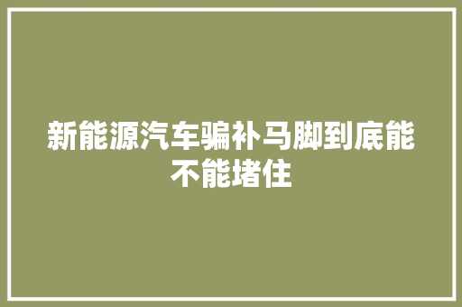 新能源汽车骗补马脚到底能不能堵住