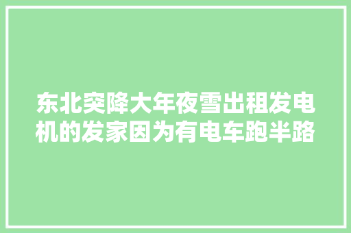 东北突降大年夜雪出租发电机的发家因为有电车跑半路没有电这个