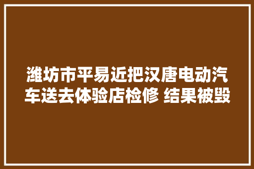 潍坊市平易近把汉唐电动汽车送去体验店检修 结果被毁容