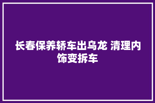 长春保养轿车出乌龙 清理内饰变拆车 汽车知识