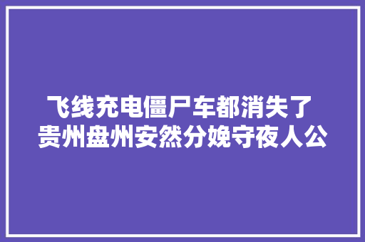 飞线充电僵尸车都消失了 贵州盘州安然分娩守夜人公益诉讼专项行动有成效