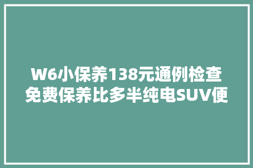 W6小保养138元通例检查免费保养比多半纯电SUV便宜