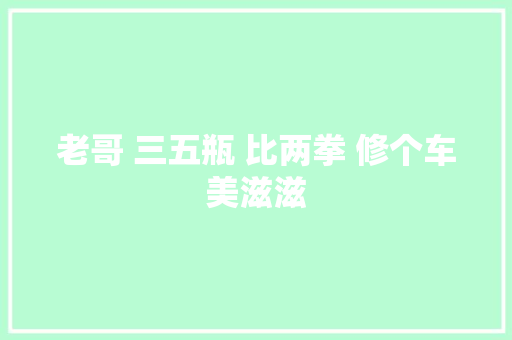 老哥 三五瓶 比两拳 修个车美滋滋 汽车知识