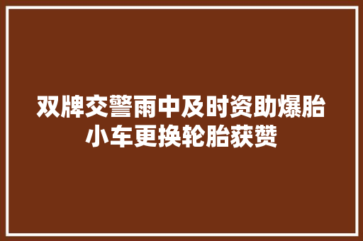 双牌交警雨中及时资助爆胎小车更换轮胎获赞