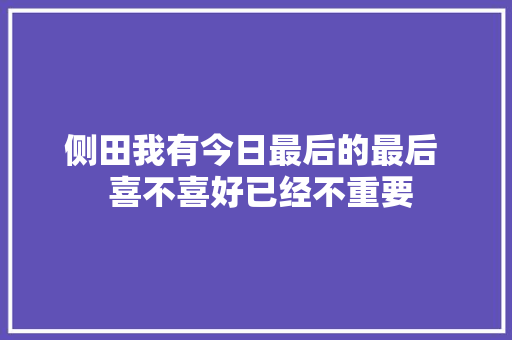 侧田我有今日最后的最后  喜不喜好已经不重要