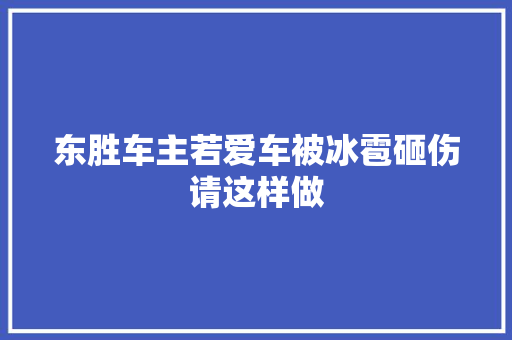 东胜车主若爱车被冰雹砸伤请这样做