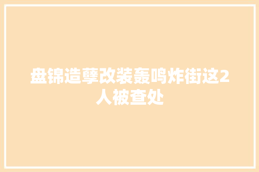盘锦造孽改装轰鸣炸街这2人被查处