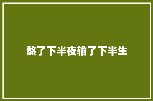 熬了下半夜输了下半生