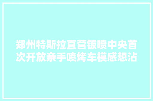郑州特斯拉直营钣喷中央首次开放亲手喷烤车模感想沾染专业做事