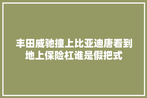 丰田威驰撞上比亚迪唐看到地上保险杠谁是假把式