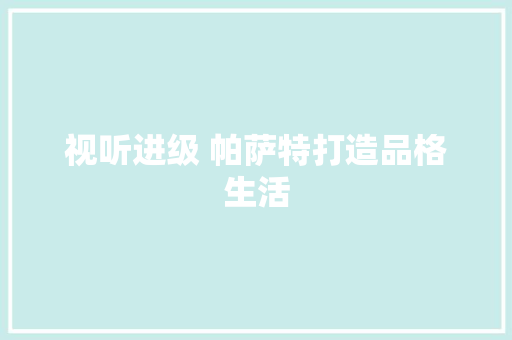 视听进级 帕萨特打造品格生活