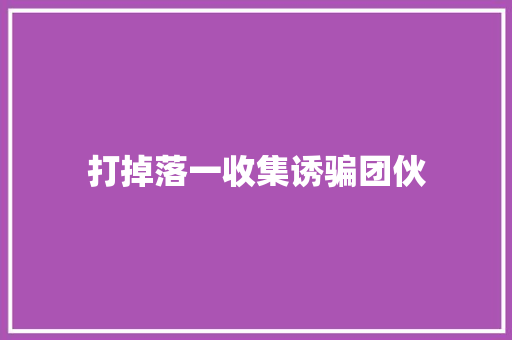 打掉落一收集诱骗团伙
