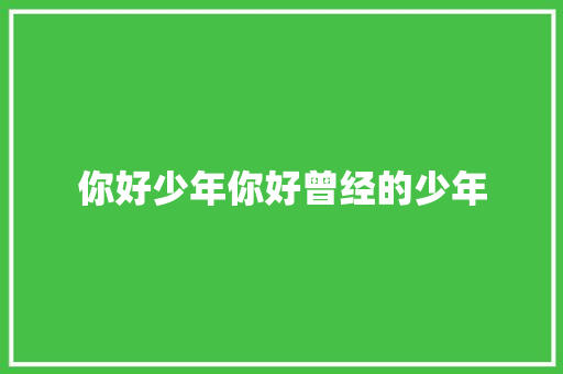 你好少年你好曾经的少年 休闲娱乐